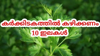 കർക്കിടകത്തിൽ പ്രധാനമായും കഴിക്കേണ്ട 10 ഇലകൾ ഇവയാണ് ഇത് നിങ്ങൾ അറിയണം #medicinalvaluedplants #howto