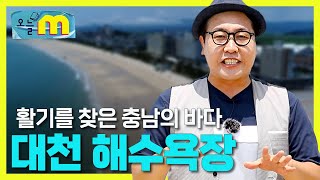 더운 여름, 땀을 식혀줄 서해 대천 해수욕장ㅣ대천해수욕장 개장 준비ㅣ이슈를 추적하는 남자ㅣ오늘M ㅣ06월29일