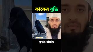 কাকের বুদ্ধি দেখুন ,,সুবহানাল্লাহ,,#shorts #islamicvideo #mizanur_rahman_azhari