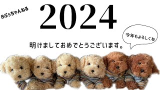 🎍新年明けましておめでとうございます🎍2024年本年も8ぷぅちゃんねるをよろしくお願いします🙇‍♀️家族みんなで楽しいお正月〜【トイプードル】【犬と赤ちゃん】【孫】