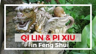 Pi Xiu (Pi Yao) and Qi Lin as the Feng Shui cure or decoration