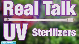 Real Talk With Thomas: UV Sterilizers | BigAlsPets.com