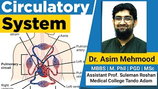 Introduction of Circulatory System ( Hindi / Urdu )