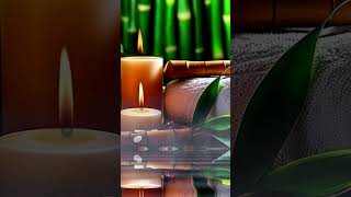 Relaxing Spa Music 24/7, Meditation, Zen Vibes