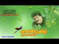 panchavarnakkili ഒരു നാൾ ഇന്നൊരു നാൾ vinod velyudhan