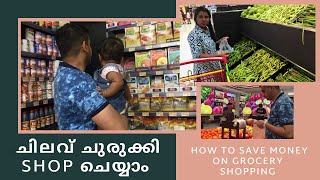 How to Save Money on Grocery Shopping | നമ്മുടെ Budget ന് ചിലവ് ചുരുക്കി SHOP ചെയ്യാം | Malayalam