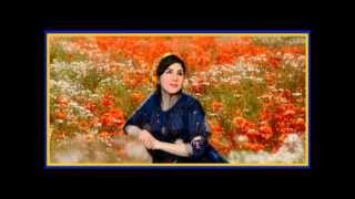 Bakhtiari-Lori-رضا صالحی-reza Salehi-شاراز