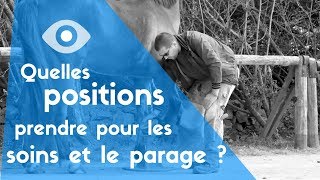 TUTO #2 - Quelles positions prendre pour les soins et le parage ?