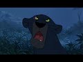 the jungle book bagheera talks with baloo about mowgli hd