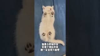 哈哈！如果小時候的我，遇見現在的我，一定會很興奮吧！#cat  #love   #cute  #cutecat  #catshorts #咻咻崽汁