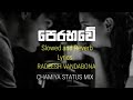 පෙරභවේ අපි පෙමින් ||Slowed reverb and Lyrics)| Radeesh vandabona | chamiya status mix