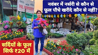 नवंबर में नर्सरी से कौन से फूल पौधे खरीदे ?Plant Nursery Visit / Cheapest Flower Plant Nursery Visit