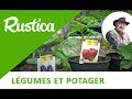 Greffer les légumes du soleil