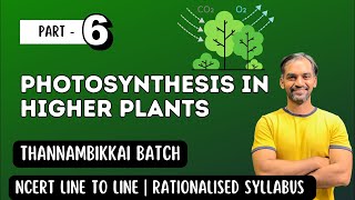 Photosynthesis in Higher Plants | Part 6 | Thannambikkai Batch 2024