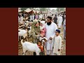 Eid ul Azha Aayi
