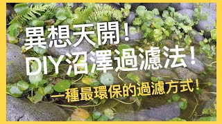 養魚設備改裝｜沼澤過濾法｜迷你沼澤過濾器DIY