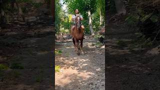 Elmurod Polvon 🔥 #reels #horse #rek #uloq #otlar #buzkashi #attar #reklam #youtubeshorts #youtube