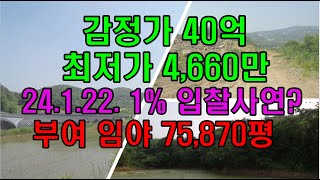 1% 경매 감정가40억 최저가4600만 임야75000평