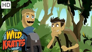 WILD KRATTS | Hiding From A TIGER! | Nature