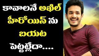 Akkineni Akhil Latest Movie Heroien Fixed By Akkineni Nagarjuna | Filmjalsa