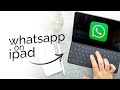 Can iPad Use WhatsApp? (explained)