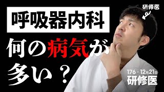 【何が多い？】呼吸器内科の入院では○○の人が圧倒的という話｜研修医の一日・176日目