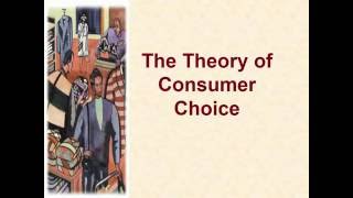 The Theory of Consumer Choice Ordinal Approach Chapter 21 (Microeconomics) Lecture 9