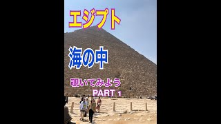 エジプトの海の中覗いてみて。ダイビングスクール世田谷、葛西から世界の海へ