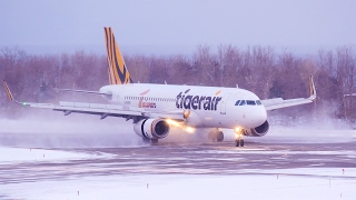 [4K]雪の函館空港 誘導路を間違えたっぽいタイガーエアA320 IT237便