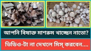 বিষাক্ত মাশরুম চেনার উপায় কি কি?।। Recognisable Poisonous Mushroom