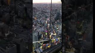 도쿄 시부야스카이 (Tokyo SIbuya Sky)