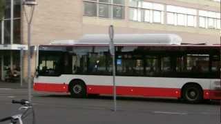 Bussen bij Leiden Centraal (Berkhof Ambassador - MAN Lion's City CNG)