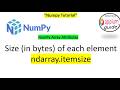 NumPy Array Attributes #5 | 