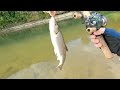 dace fishing day 2 lure and fly fishing