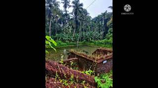 നീലത്താമര വിരിയുന്ന ക്ഷേത്രംമലമൽകാവ് അയ്യപ്പക്ഷേത്രം