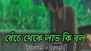 Bache theke labh ki bol - Bengali Lofi Rain ( Slowed + Reverb)