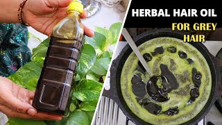 இனி வீட்டிலேயே இளநரை தொல்லைக்கு எண்ணெய் தயாரிக்கலாம் Homemade Hair Oil for hair growth n grey hair