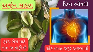 અર્જુન | હૃદય ને સ્વસ્થ રાખવા અજમાવો આ ઔષધી #આયુર્વેદિક