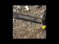 dewalt chainsaw 20” 60v 5ah 4hp test