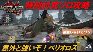 【初見ソロ特別討究】両腕壊せ！ベリオロス『Switch版サンブレイク』