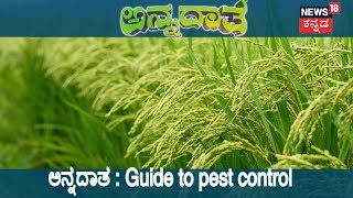 ಅನ್ನದಾತ | Pest Control For Better Yields | Sep 4, 2018