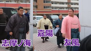 十両・志摩ノ海、友風、嘉陽の場所入り！！令和6年大相撲九州場所！！