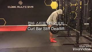 [운동백과 다니엘] 컬바 스티프 데드리프트 Curl Bar Stiff Deadlift