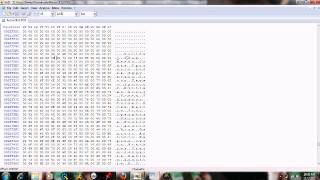 Hex Editing Tutorial 1