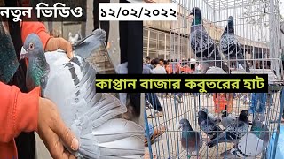 রেসার, মিলি, হুমা কবুতরের  আজকের দাম  জানুন  কাপ্তান  বাজার  গুলিস্তান  ঢাকা। pigeon market  dhaka.