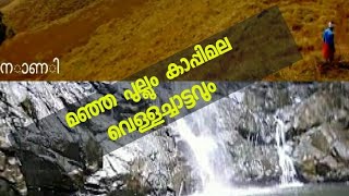 മഞ്ഞ പുല്ല് + കാപ്പിമല വെള്ളച്ചാട്ടം | manja pullu+kappi mala waterfalls | Best place togo in kannur