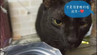 茶Q麻 x 法米納無穀天然飼料