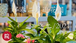 【彬彬有院】行•449早春二月逛花圃之二/2021，大量花圃土/肥信息，和大家分享～～～