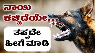 ನಾಯಿ ಕಚ್ಚಿದ ತಕ್ಷಣ ಏನು ಮಾಡಬೇಕು ? | Remedies for Dog Bite | Udayavani