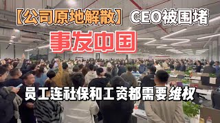 事发中国上海公司原地解散，CEO被堵，工资和社保没有办法发放#中国 #中国百姓 #拖欠工资#公司倒闭